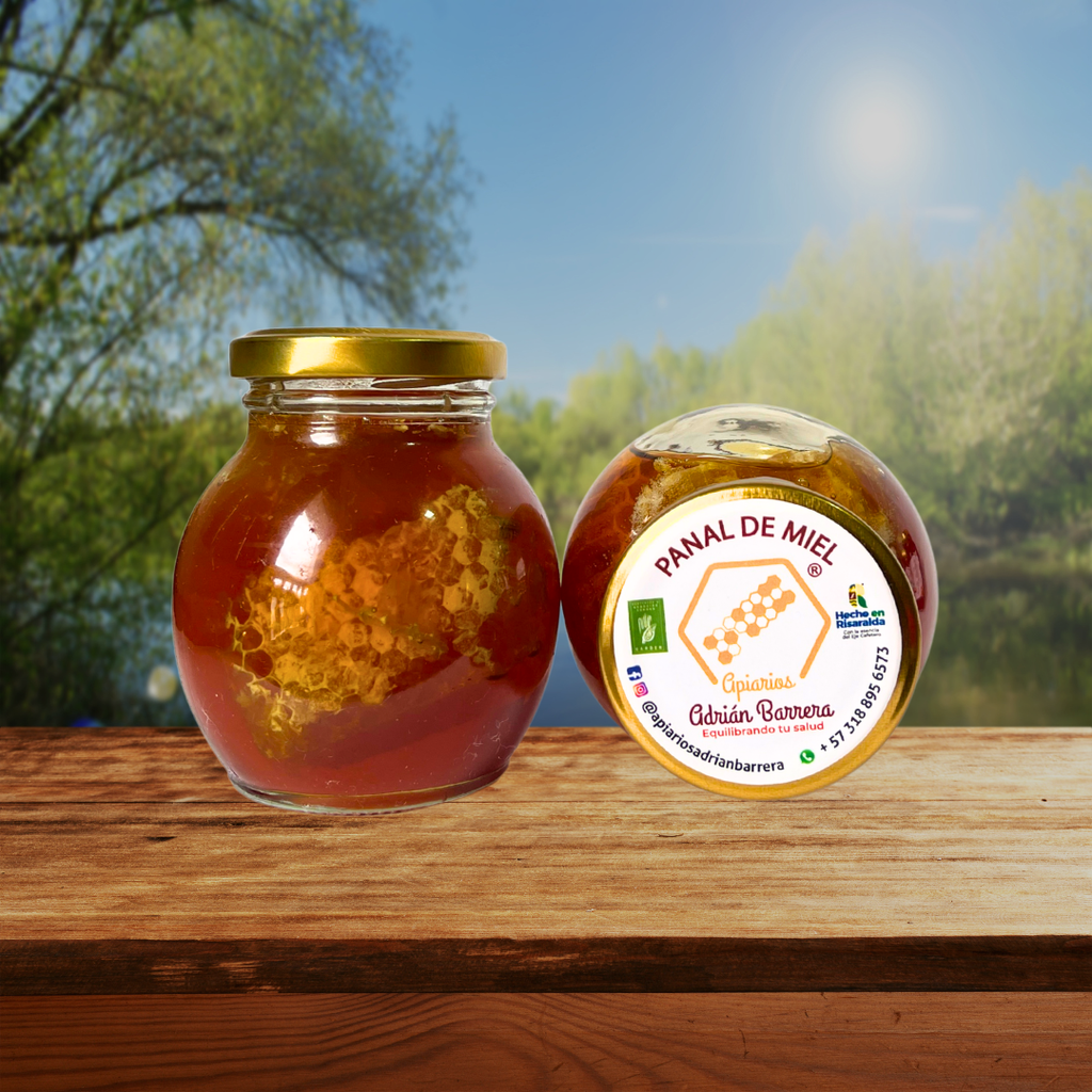 Miel de Abeja en Panal – 300 g
