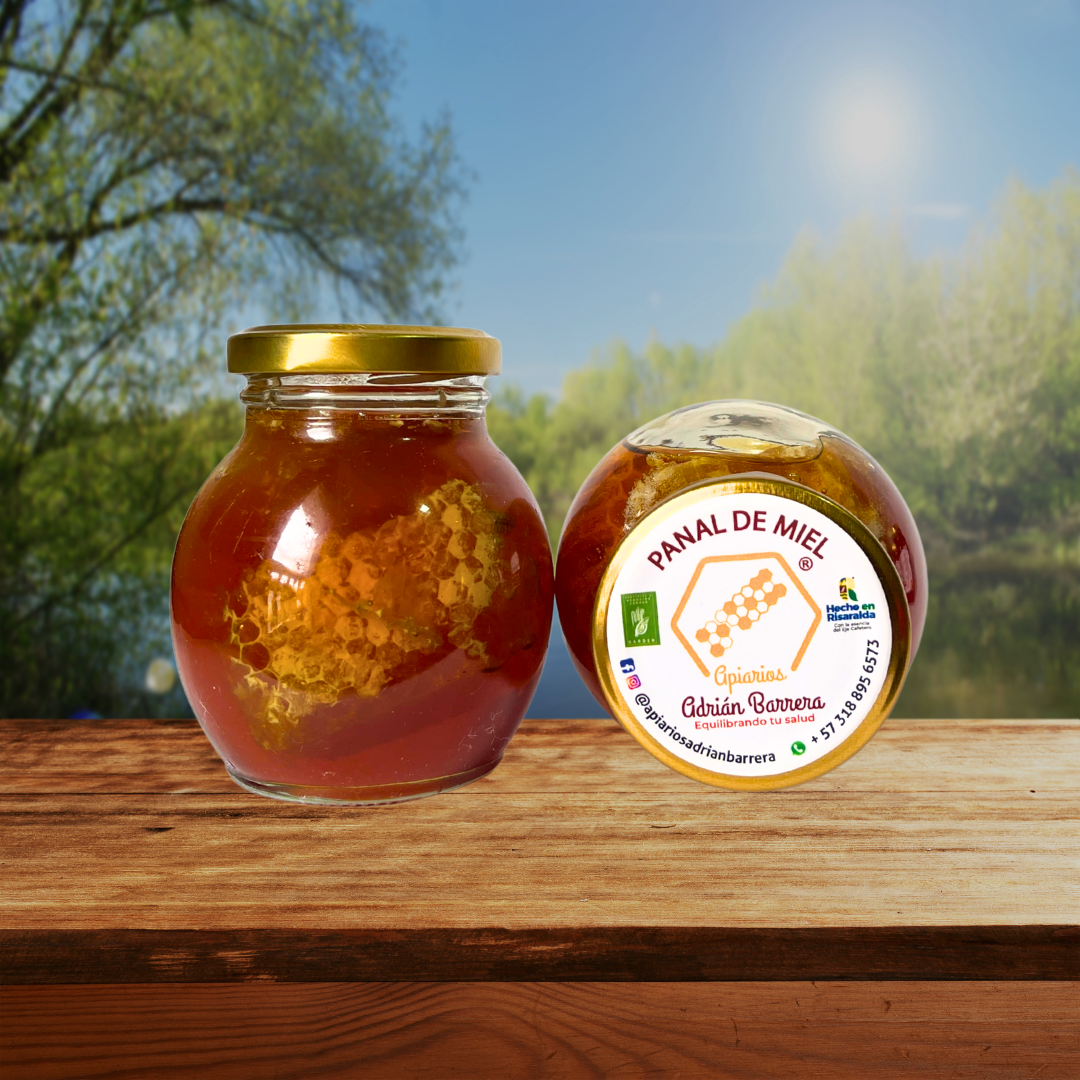 Miel de Abeja en Panal – 300 g