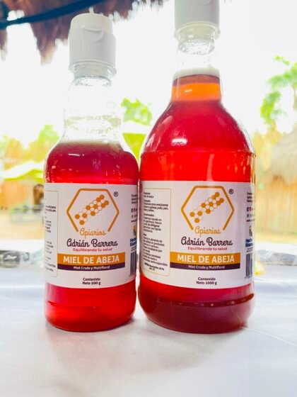Miel de Abeja x 500 grs